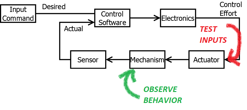 Test Inputs